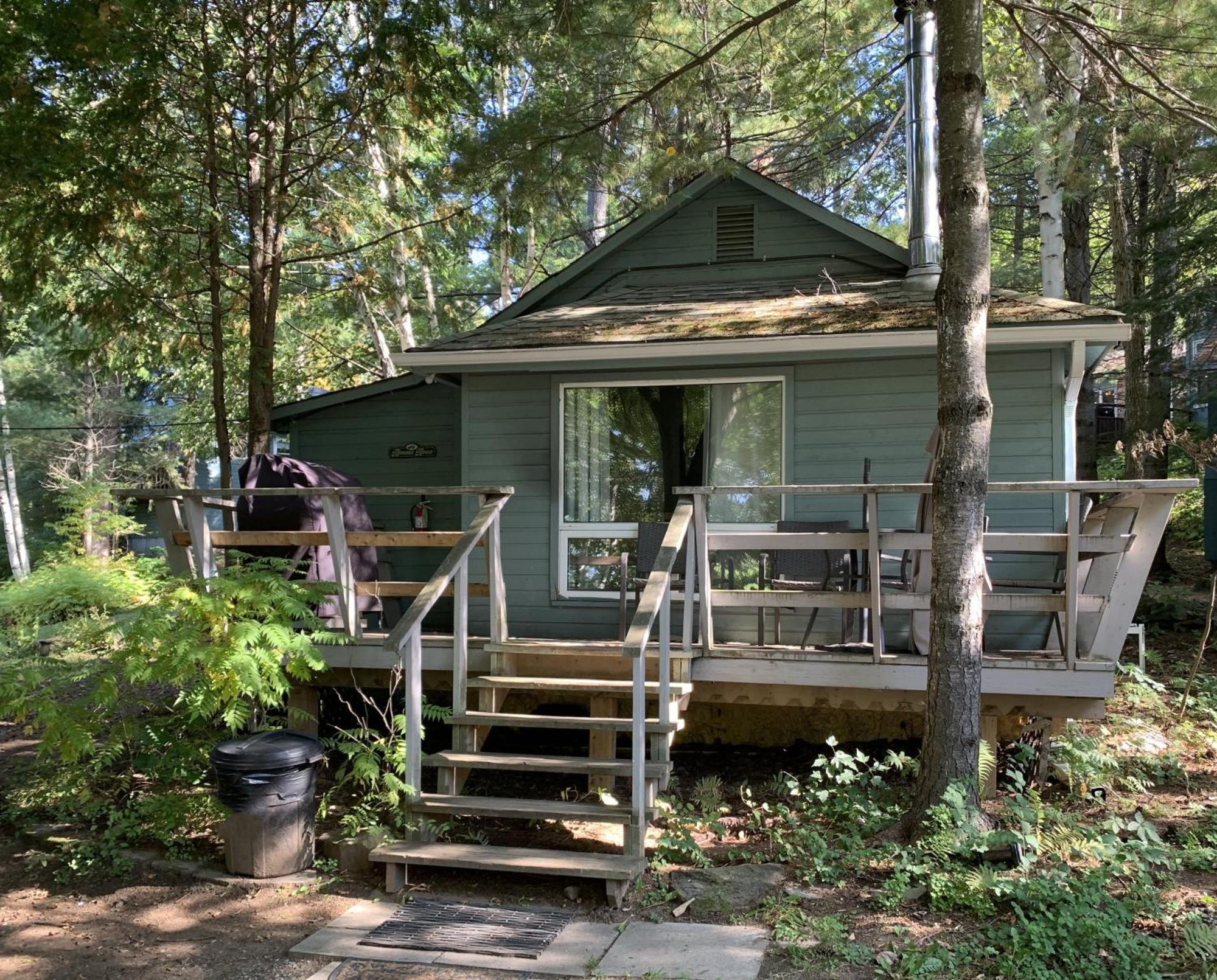 Muskoka Waterfront Retreat Villa Dwight Buitenkant foto