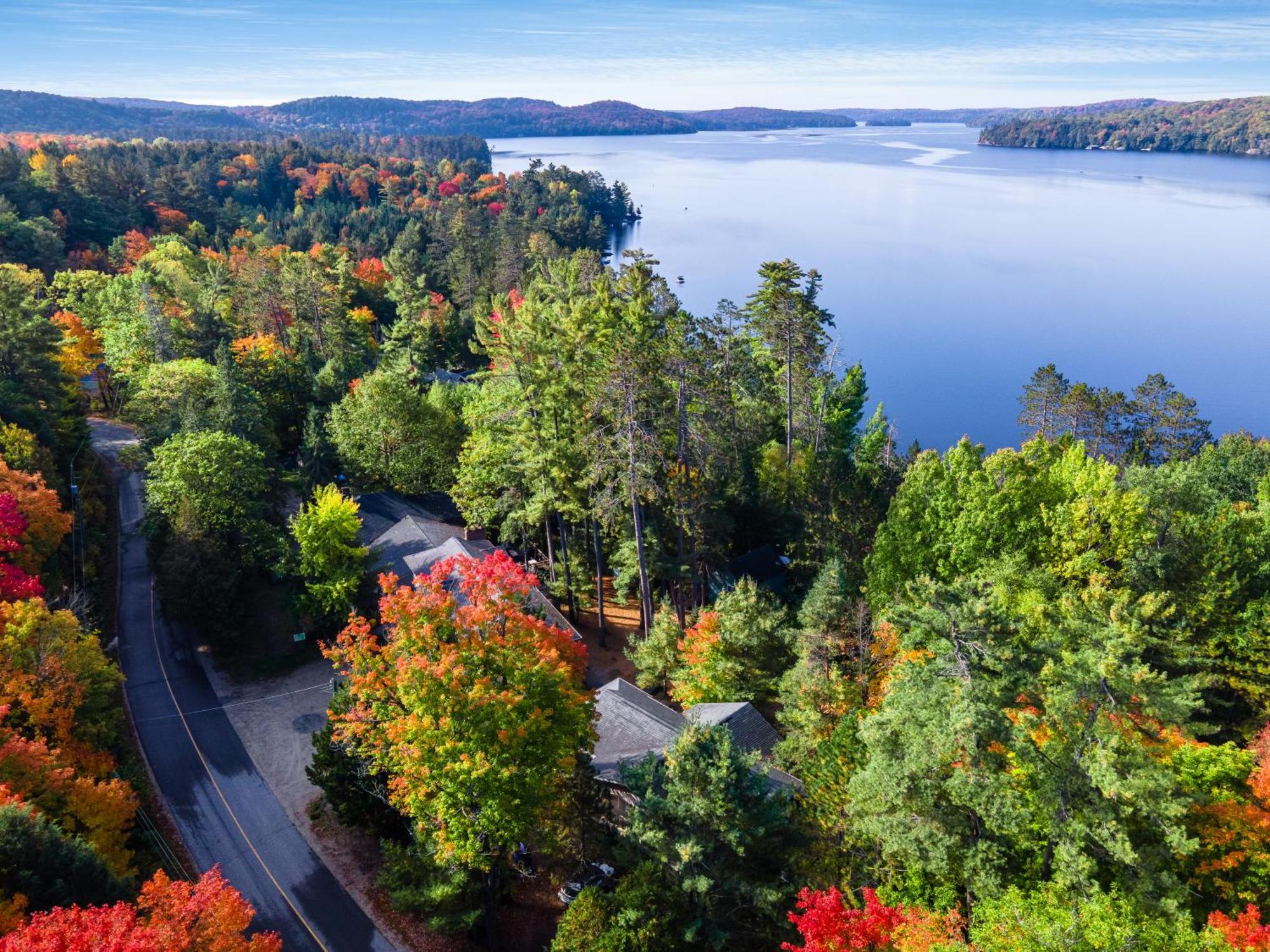 Muskoka Waterfront Retreat Villa Dwight Buitenkant foto