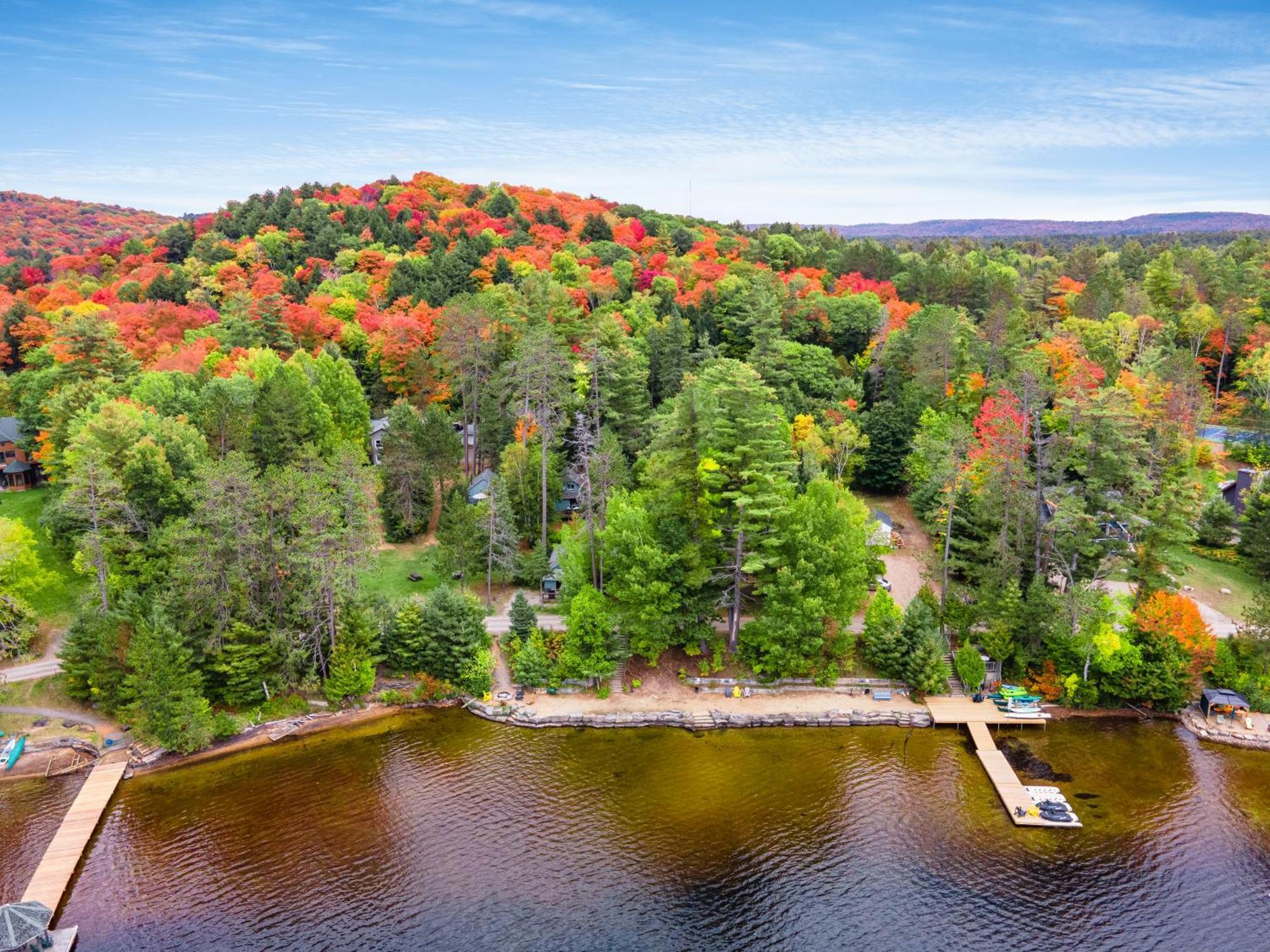 Muskoka Waterfront Retreat Villa Dwight Buitenkant foto