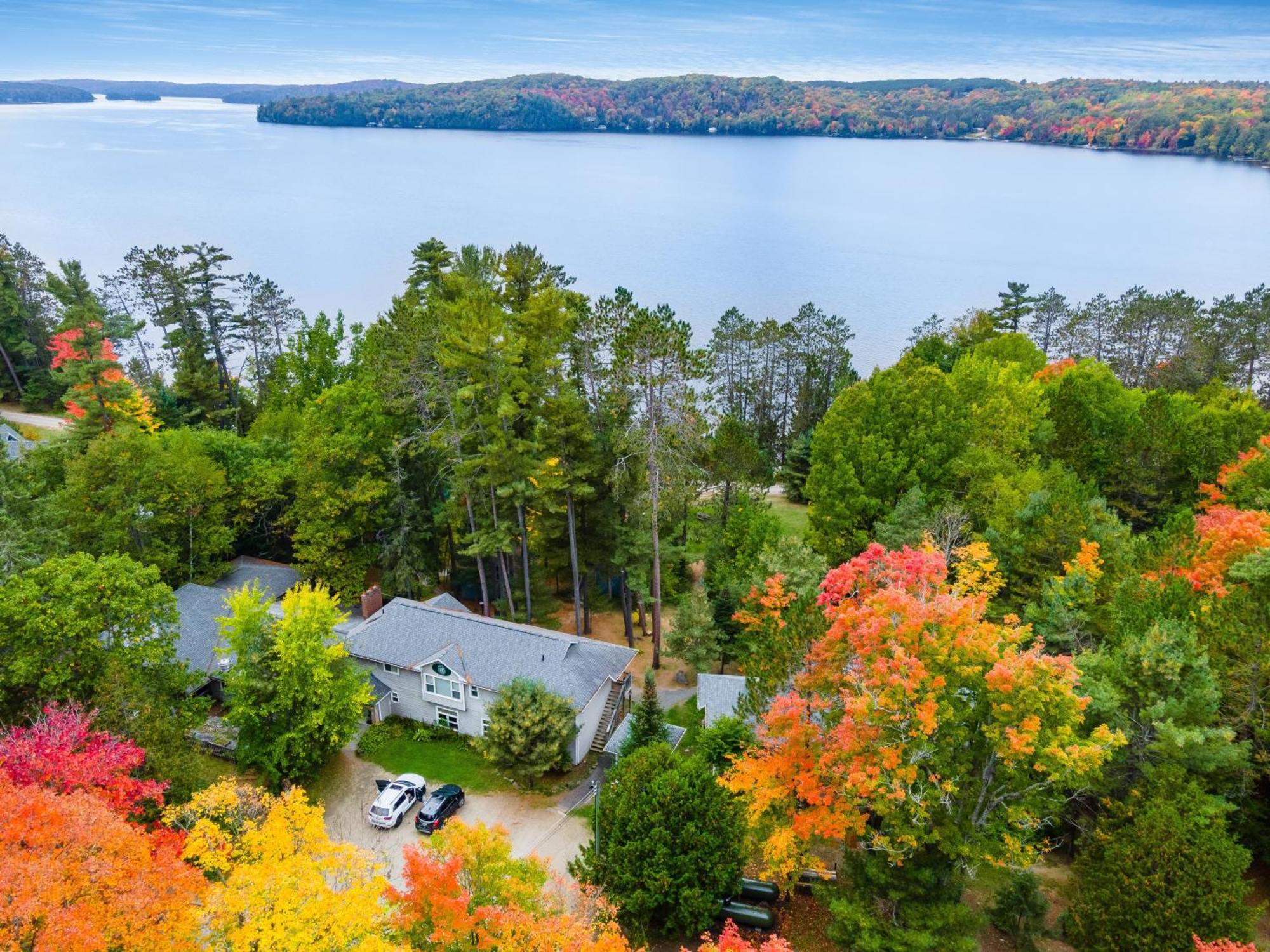 Muskoka Waterfront Retreat Villa Dwight Buitenkant foto