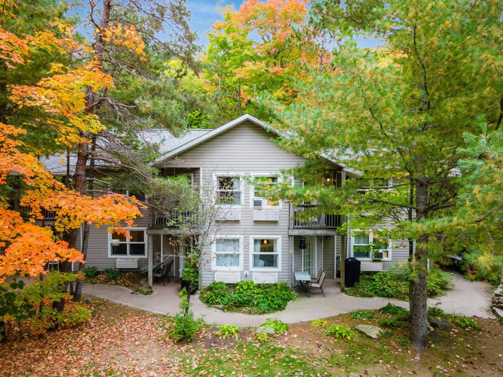 Muskoka Waterfront Retreat Villa Dwight Buitenkant foto